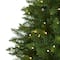 7.5ft. Pre-Lit Green Valley Fir Artificial Christmas Tree with Clear LED Lights